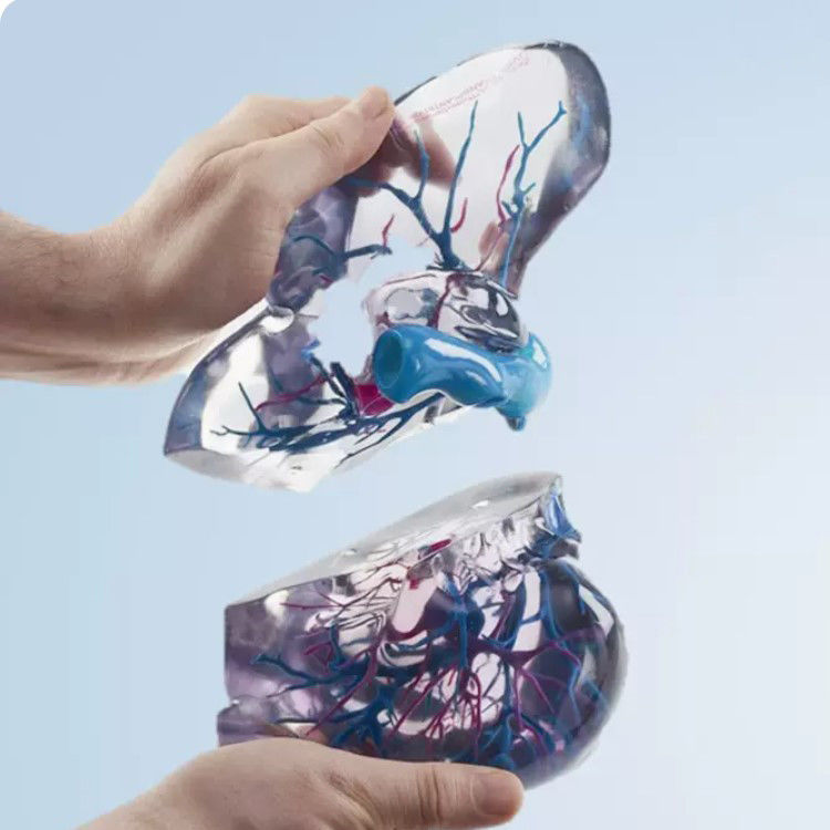 Υλικό RESIN Πλήρης χρωματική 3D εκτύπωση Polyjet Για ιατρικά αρχεία STL πρωτότυπου